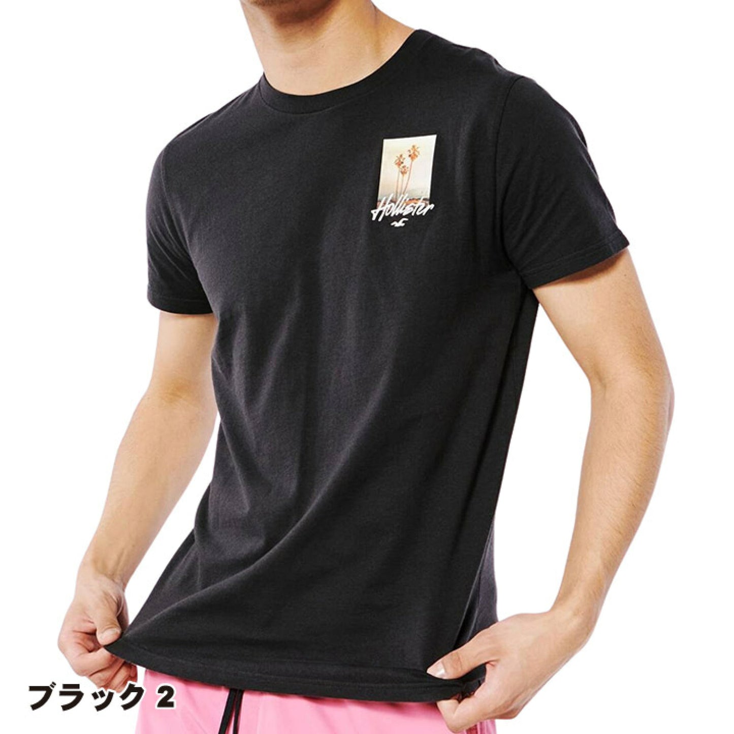 Hollister Original Men T-Shirt