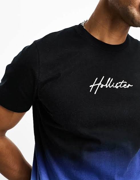 Hollister Original Men T-Shirt