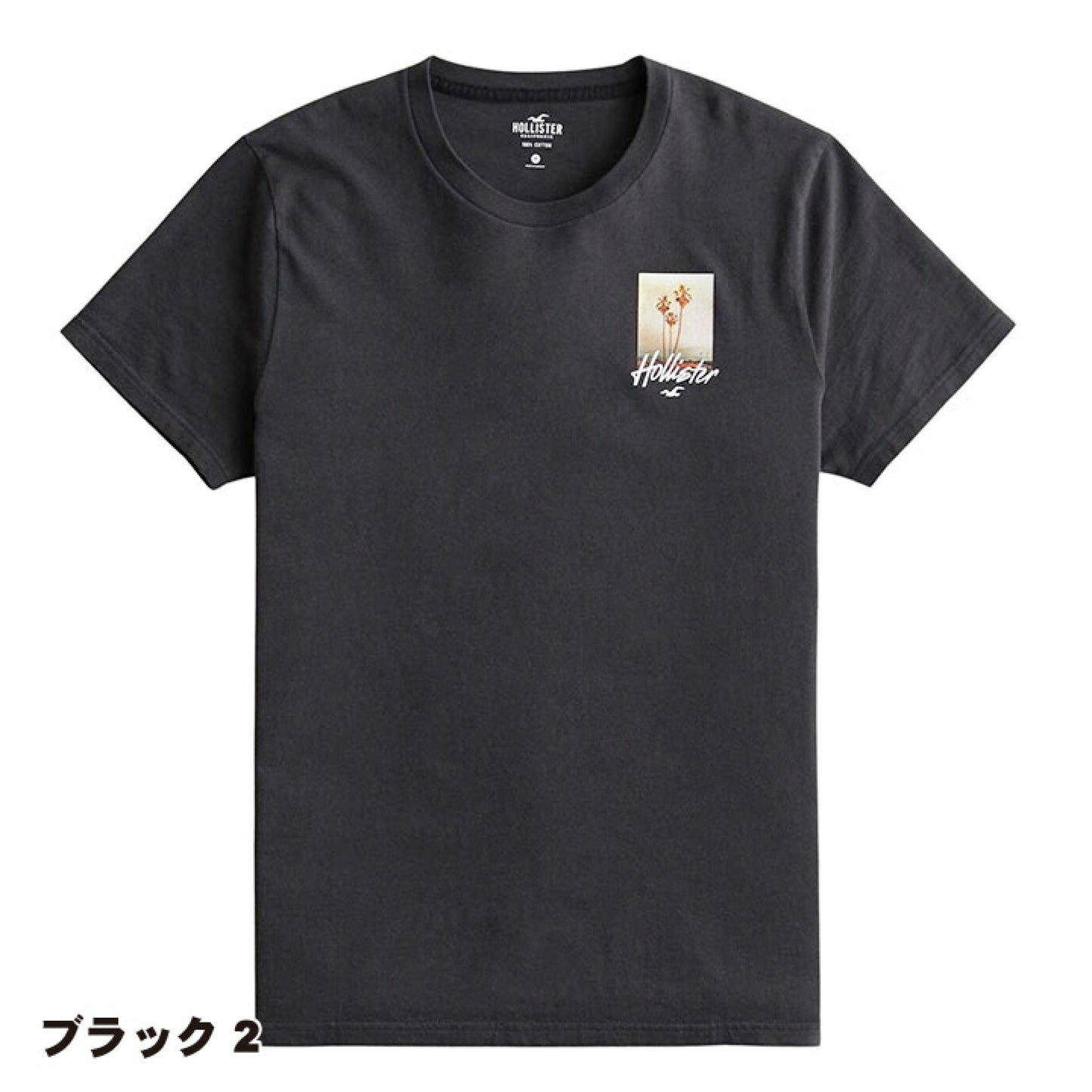 Hollister Original Men T-Shirt