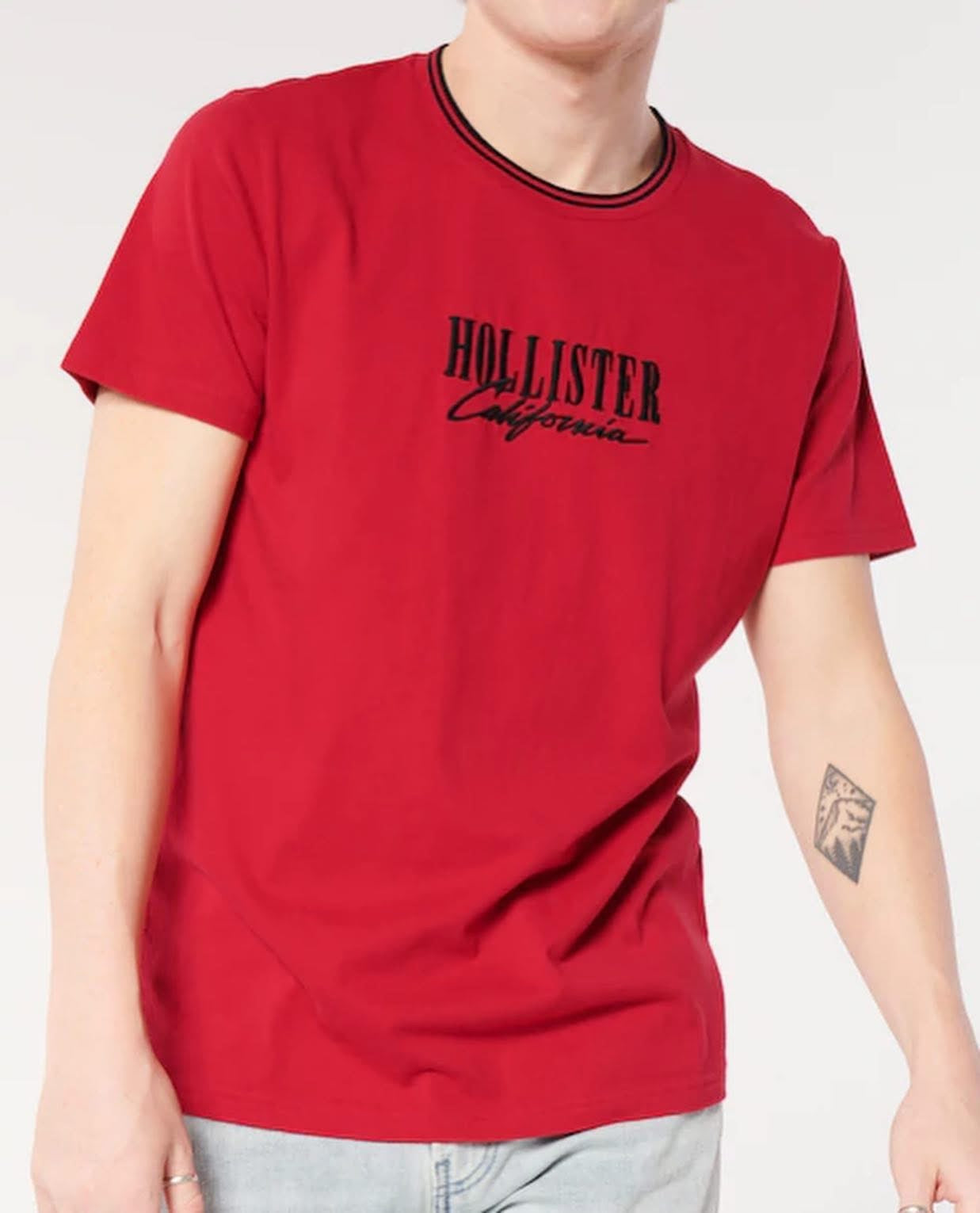 Hollister Original Men T-Shirt