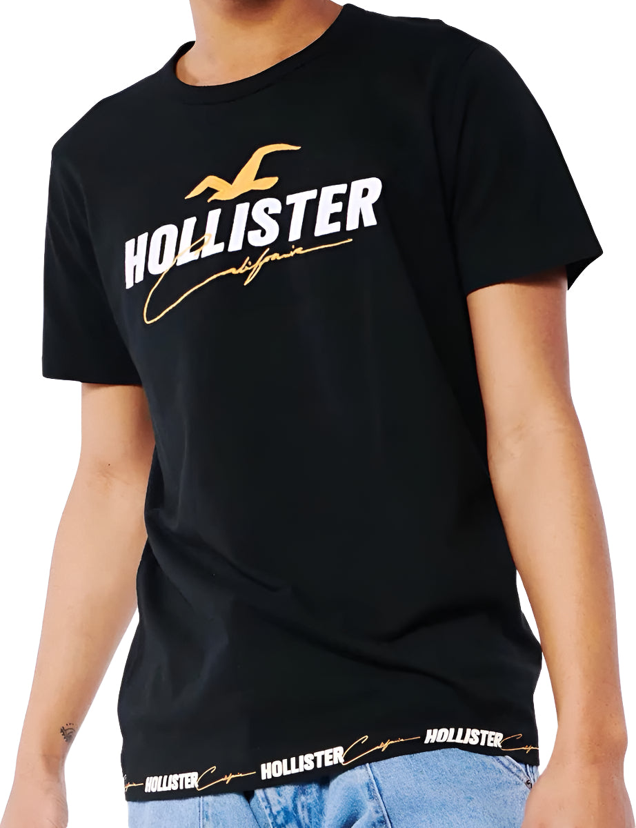 Hollister Original Men T-Shirt