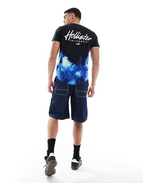 Hollister Original Men T-Shirt