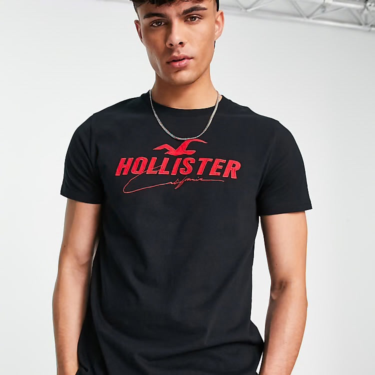 Hollister Original Men T-Shirt