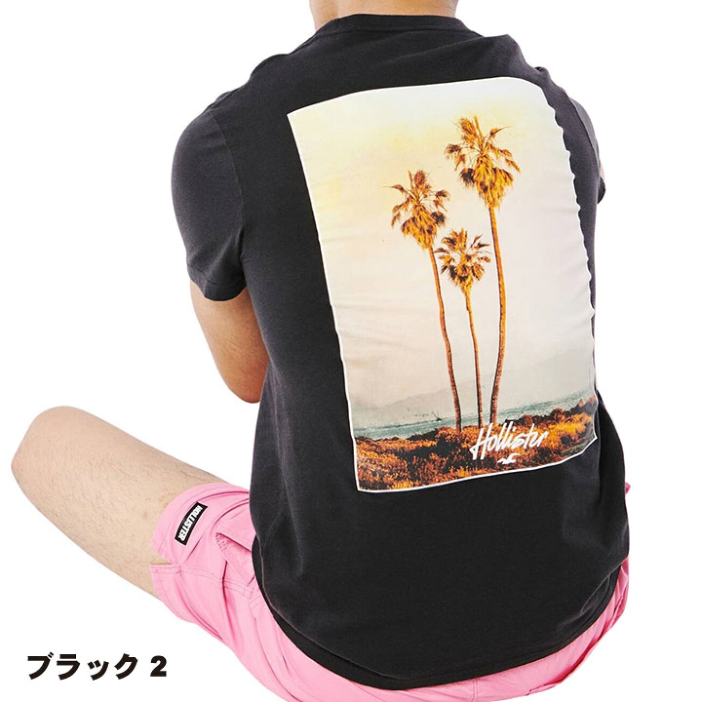 Hollister Original Men T-Shirt
