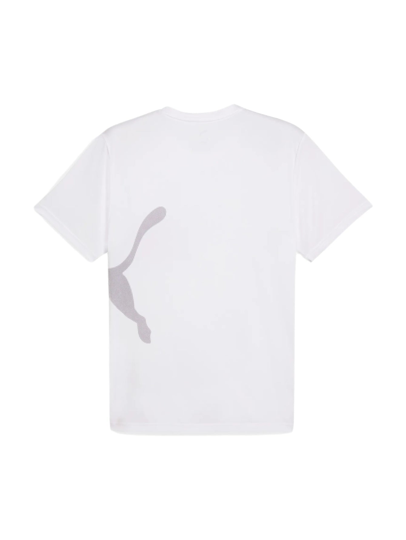 Puma Original Men T-Shirt Dry cell