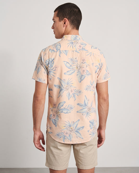 Hollister Original Men Shirt - model back