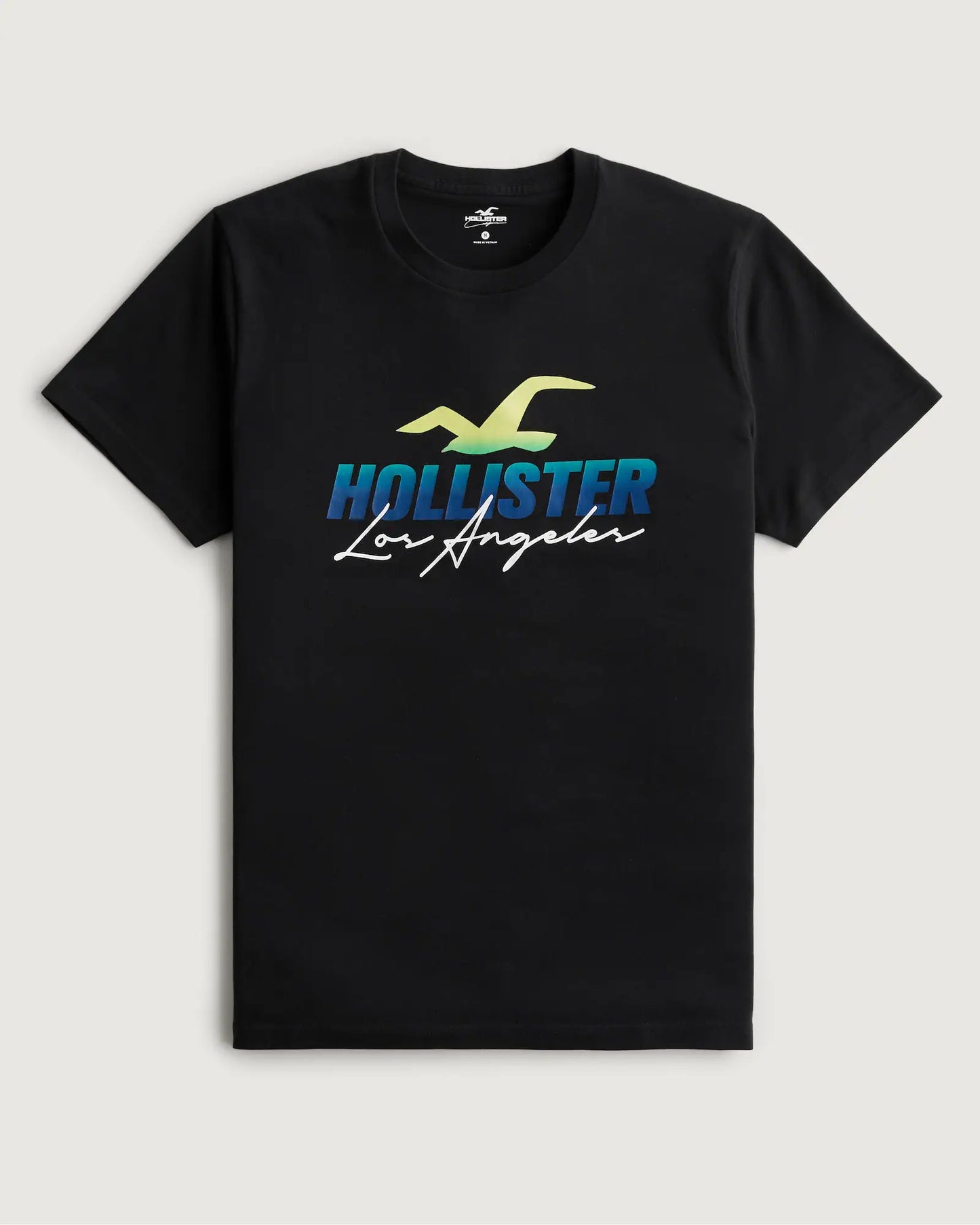 Hollister Original Men T-Shirt