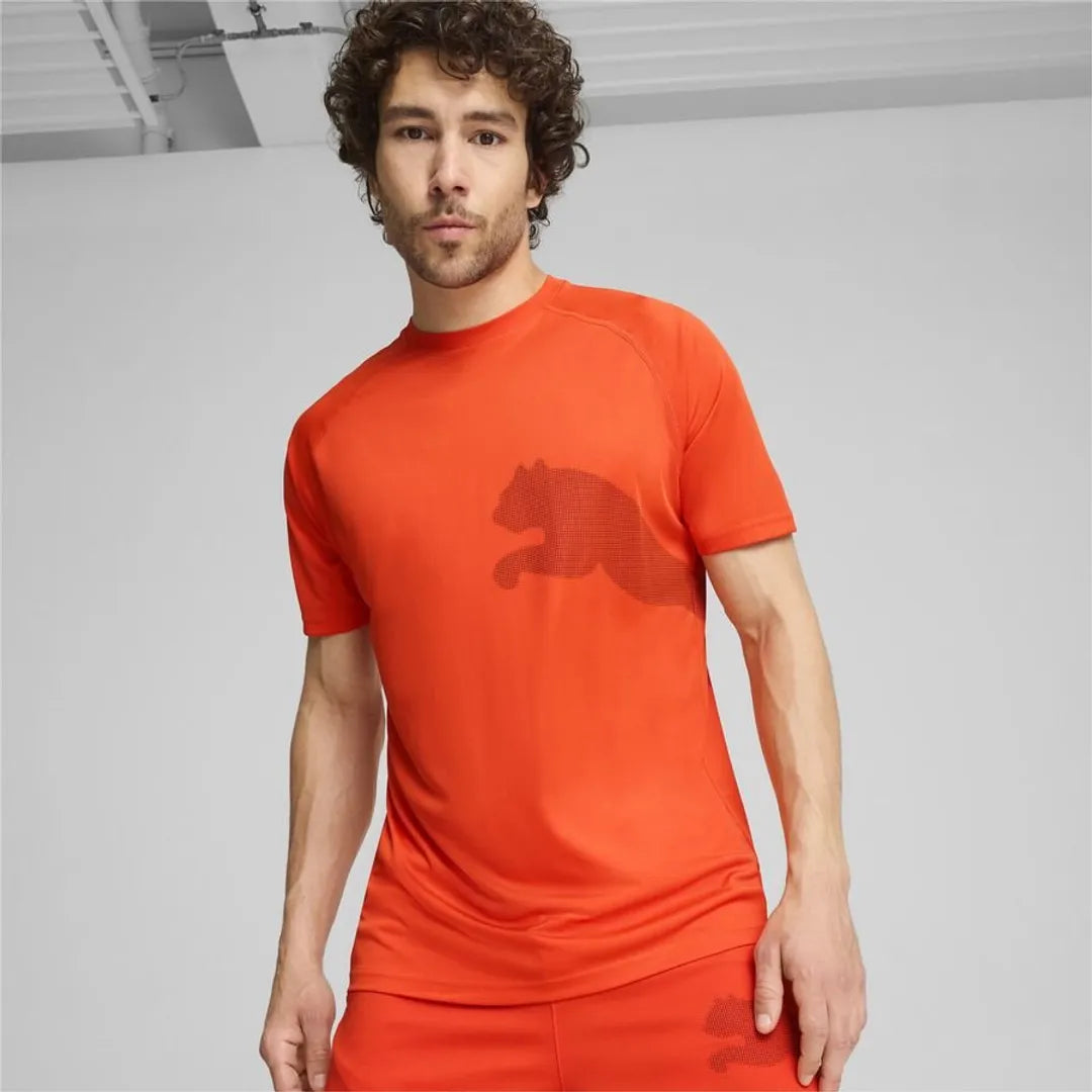 Puma Original Men T-Shirt Dry Cell