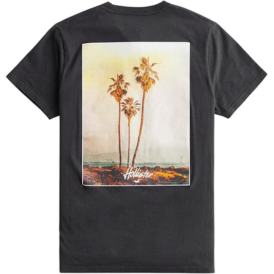 Hollister Original Men T-Shirt