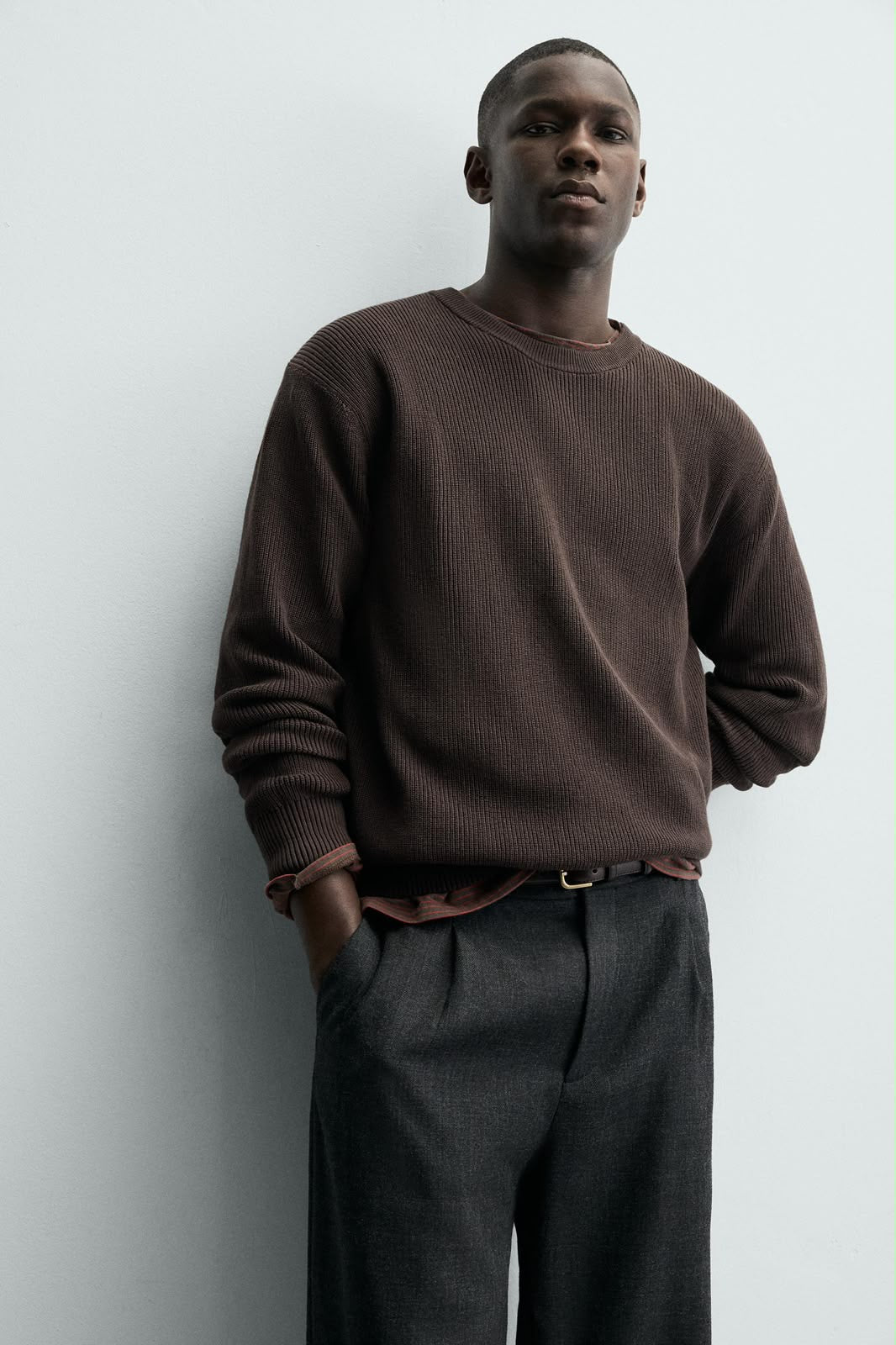 Zara Original Men Pullover - Brown