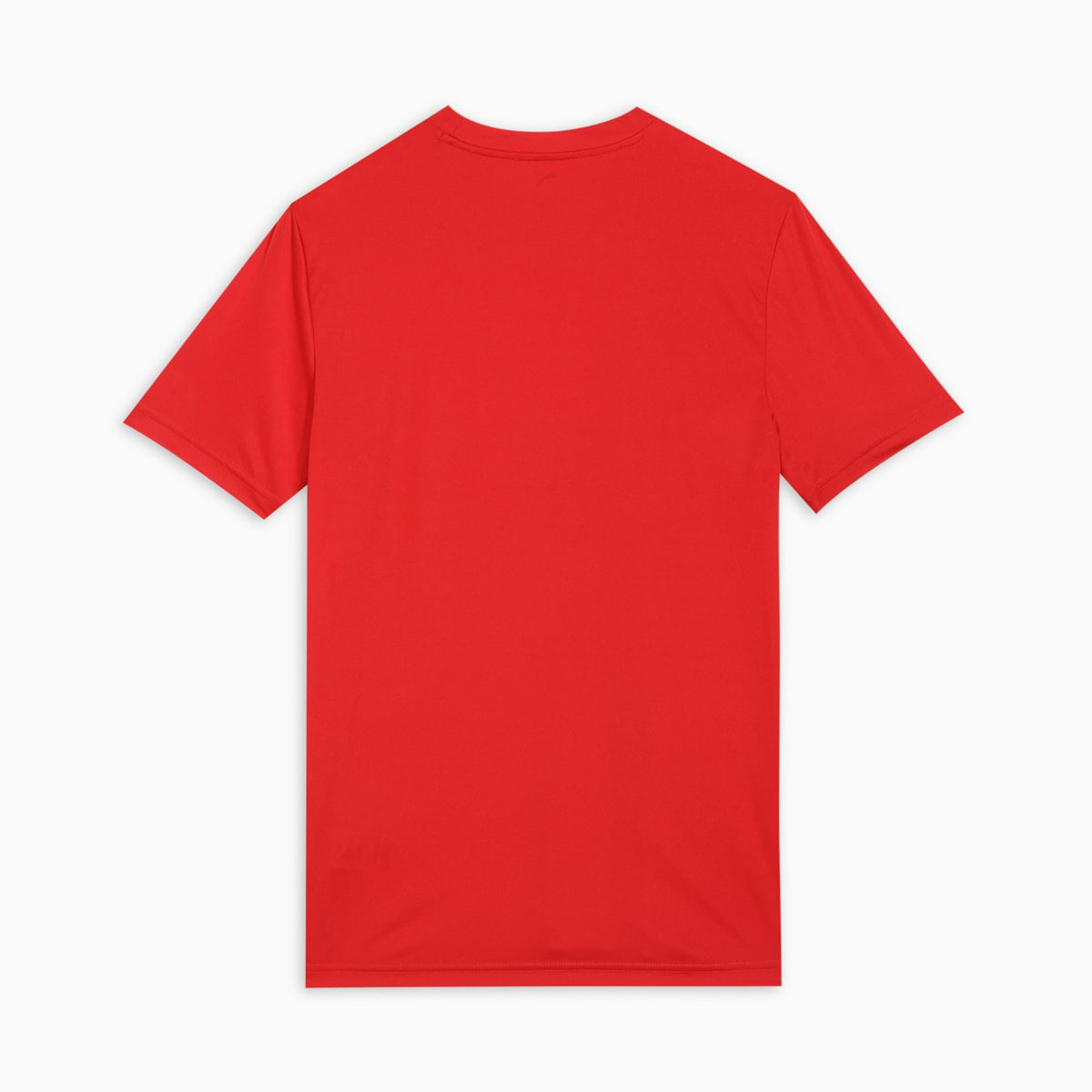 Puma Original Men T-Shirt DRYCELL