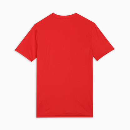 Puma Original Men T-Shirt DRYCELL
