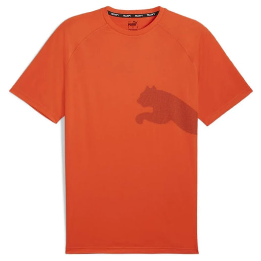 Puma Original Men T-Shirt