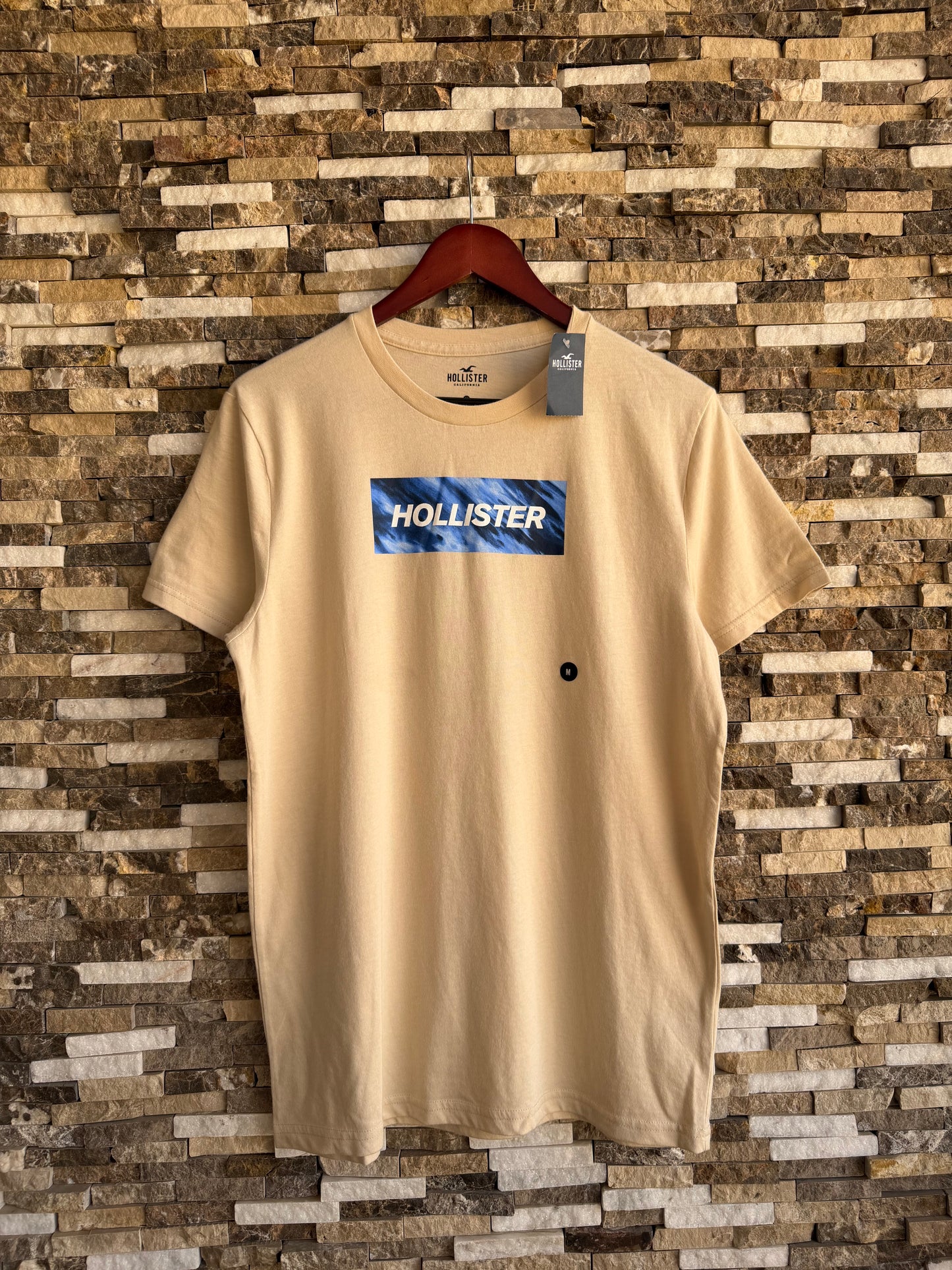 Hollister Original Men T-Shirt