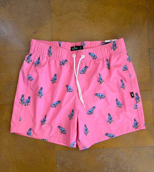Hollister Original Men Swimsuit