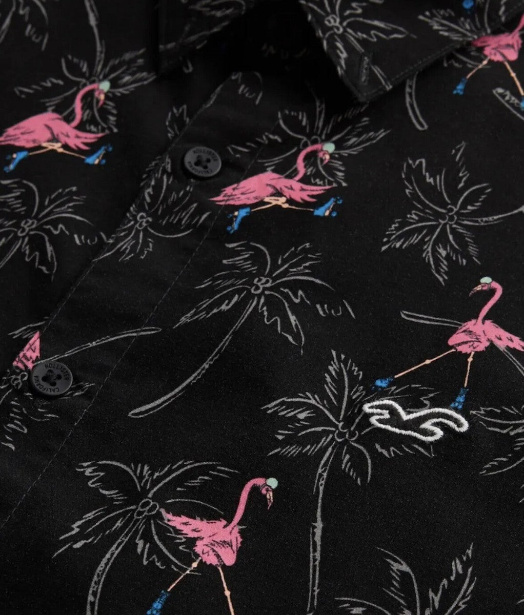 Hollister Original Men Shirt