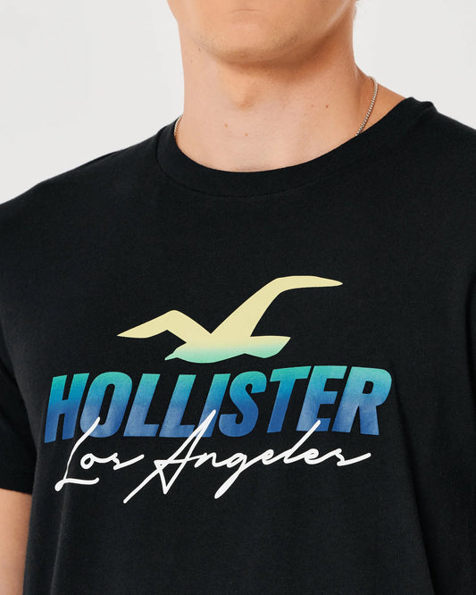 Hollister Original Men T-Shirt