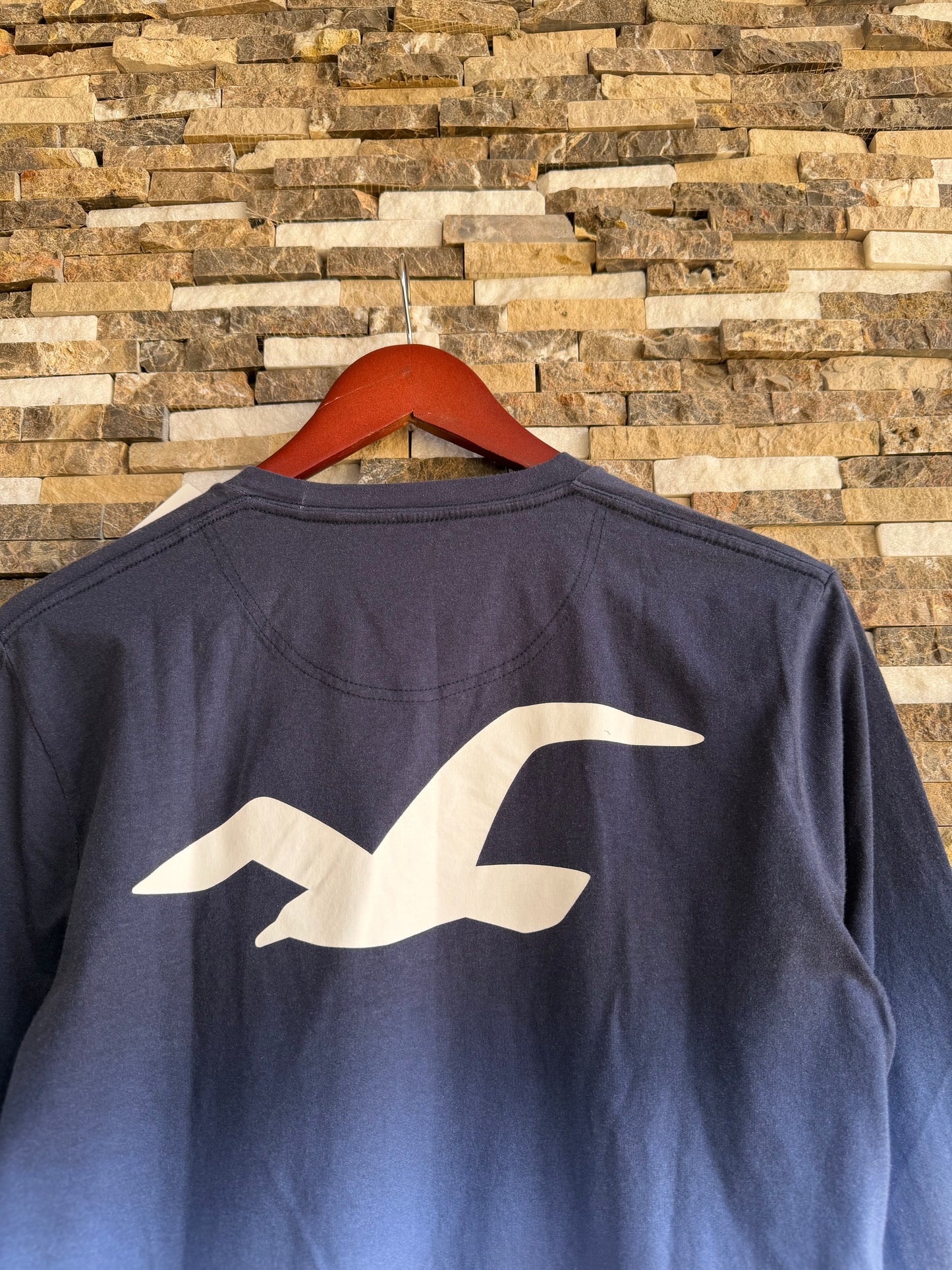 Hollister Original Men Long sleeve T-Shirt
