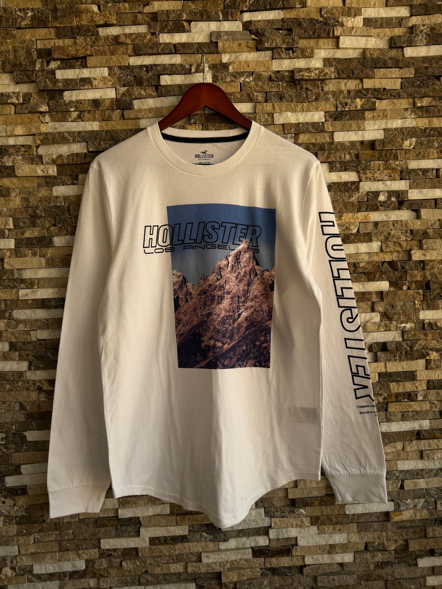 Hollister Original Men Long sleeve T-Shirt