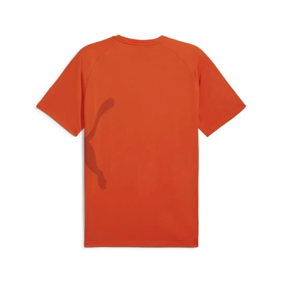 Puma Original Men T-Shirt Dry Cell