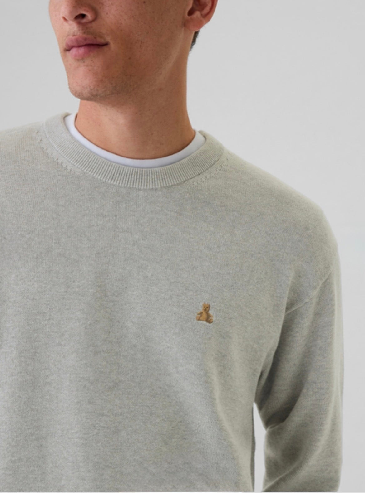 GAP Original Men Pullover
