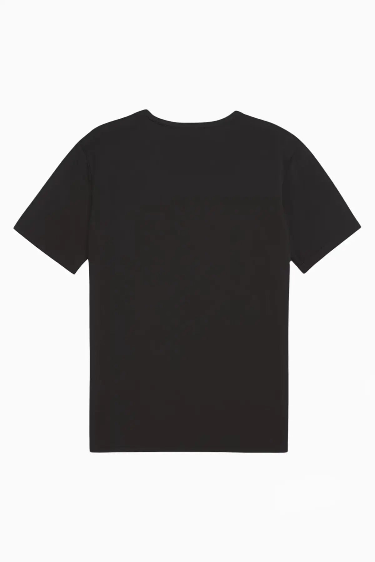 Puma Original Men T-Shirt DRYCELL