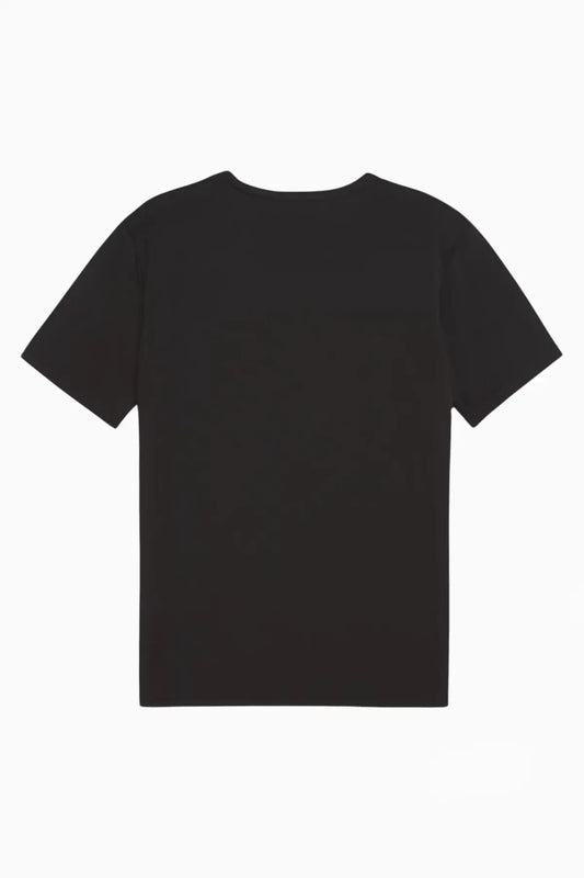 Puma Original Men T-Shirt DRYCELL