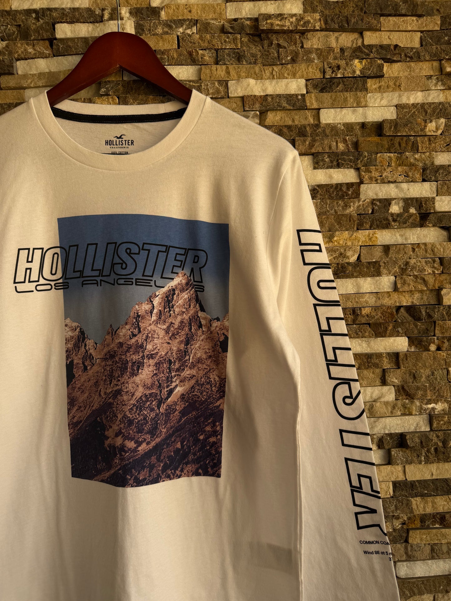 Hollister Original Men Long sleeve T-Shirt