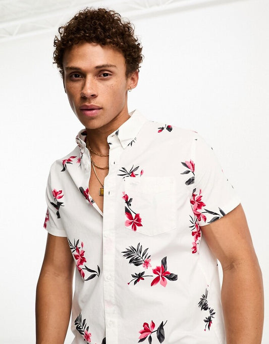 Hollister Original Men Shirt